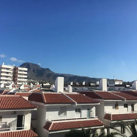 Tajinaste Playa de las Americas (Tenerife)